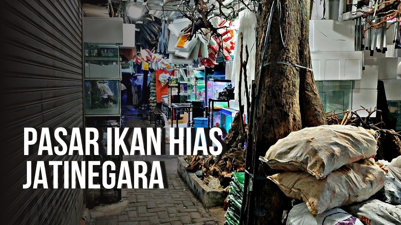 PASAR IKAN HIAS JATINEGARA 