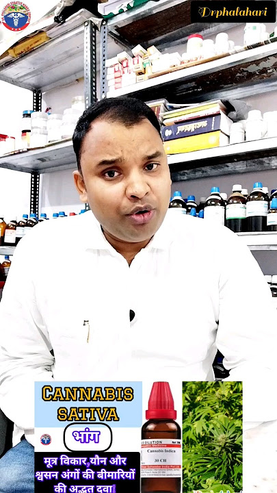 cannabis sativa-भाँग homeopathic medicine uses in hindi|भाँग urinary, sexual, and respiratory organs