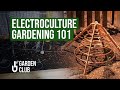How to start with electroculture gardening