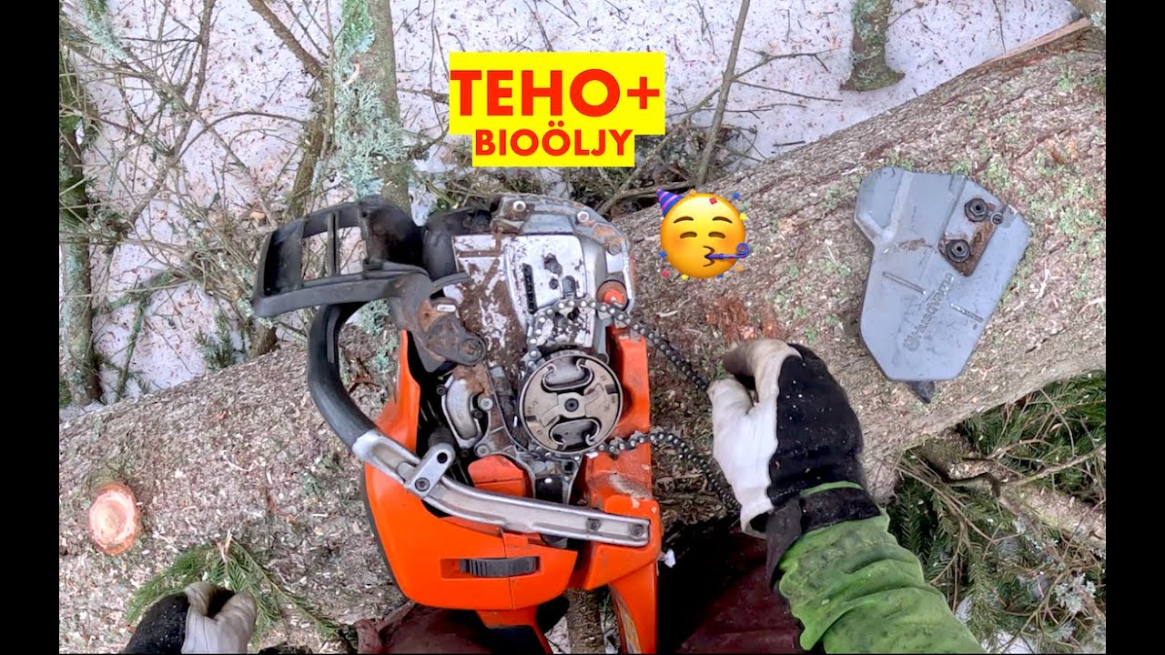 Seitsemän päivän tukkisavotta. Osa 1, 