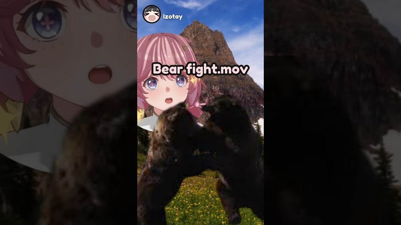 Bearfight.mov 🐻 🐻