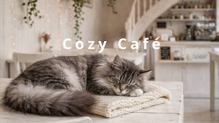 Cozy Coffee Shop ☕ Lofi Cat Music for Relax, Study &amp; Work
