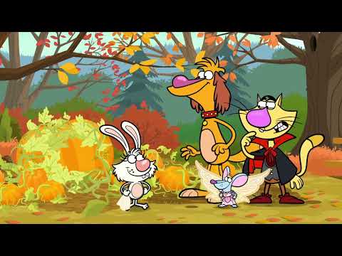 Nature Cat Daisy S Pretty Pumpkin PBS Kids 
