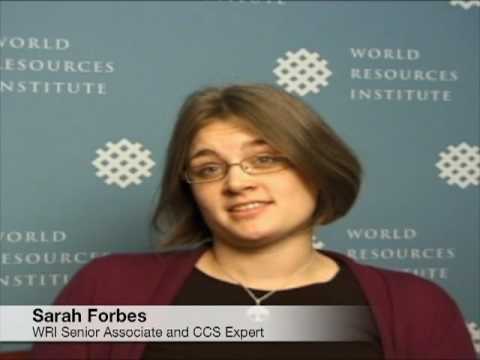 Carbon Capture and Storage 101: The Basics