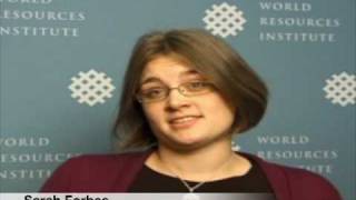 Carbon Capture and Storage 101: The Basics Wealth