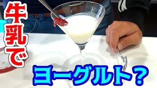 【実験】牛乳に○○を入れるとヨーグルトに！？