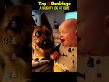 A naughty dog at home #dog #funny #happy #pets #cutedog #doglife #humour #puppy #dogmom