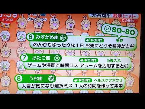 ちいかわ占い 5月25日
