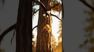 Eagle Vs Fox Misty Morning Forest Clash 4K Ultra Realistic Wildlife Battle