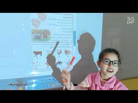 العائلة الحيوانية بشكل بسيط، تربية علمية، السنة الثانية ابتدائي