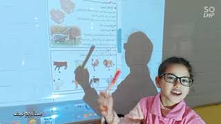 العائلة الحيوانية بشكل بسيط، تربية علمية، السنة الثانية ابتدائي