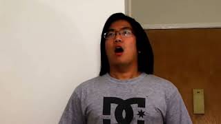 Introduzindo Panorâmica