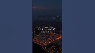 تلاوة خاشعة للقارئ ياسر الدوسري || سورة الجمعة: {9} | #القرآن_الكريم