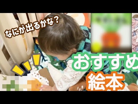 仕掛け絵本の紹介です【1歳4ヶ月】
