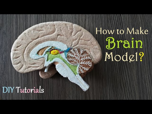 Fake brain 3 Diagram