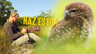 Captura Fotos NÍTIDAS de Fauna con estos 5 Trucos ! screenshot 1