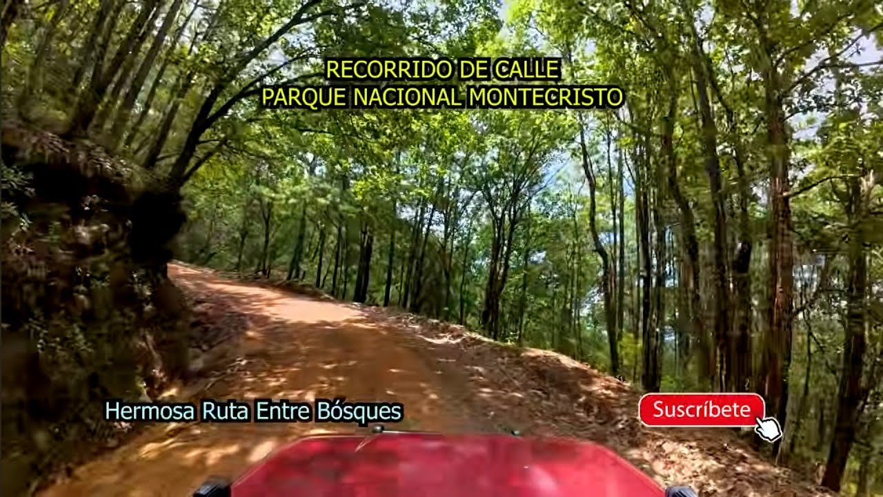 Así es La Calle Para Llegar A Montecristo, Metapán, Santa Ana, EL SALVADOR. Hermoso Lugar de Montaña