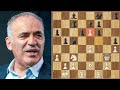 Kasparov Returns To An Interesting Future