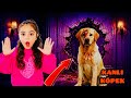 Bir tane kanlı köpek çok sinirli evimizi geldi.