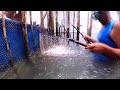 LOT'S OF FISH GALING HIGH-TIDE | TRADITIONAL FISHING AT BATANGAS PHILIPPINES | catch&cook !!