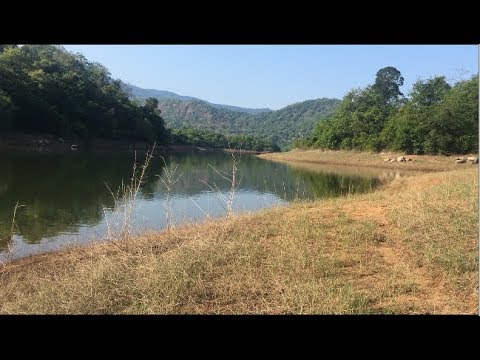 camera iphone 8 plus apk Shendurney Wildlife Sanctuary [ Thenmala, Kollam, Kerala, India ]
