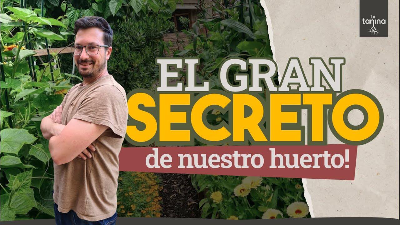 Las CLAVES para un HUERTO ÚNICO 🥬🍅🥕