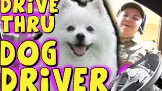 DOG DRIVES IN DRIVE THRU! WOW! [Key Fork Tv] Prank!! (Drive Thru Monkey Driver Prank) Magicofrahat