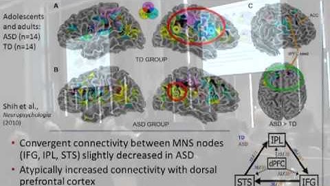 fMRI Approaches to Network Connectivity in Autism Spectrum Disorders