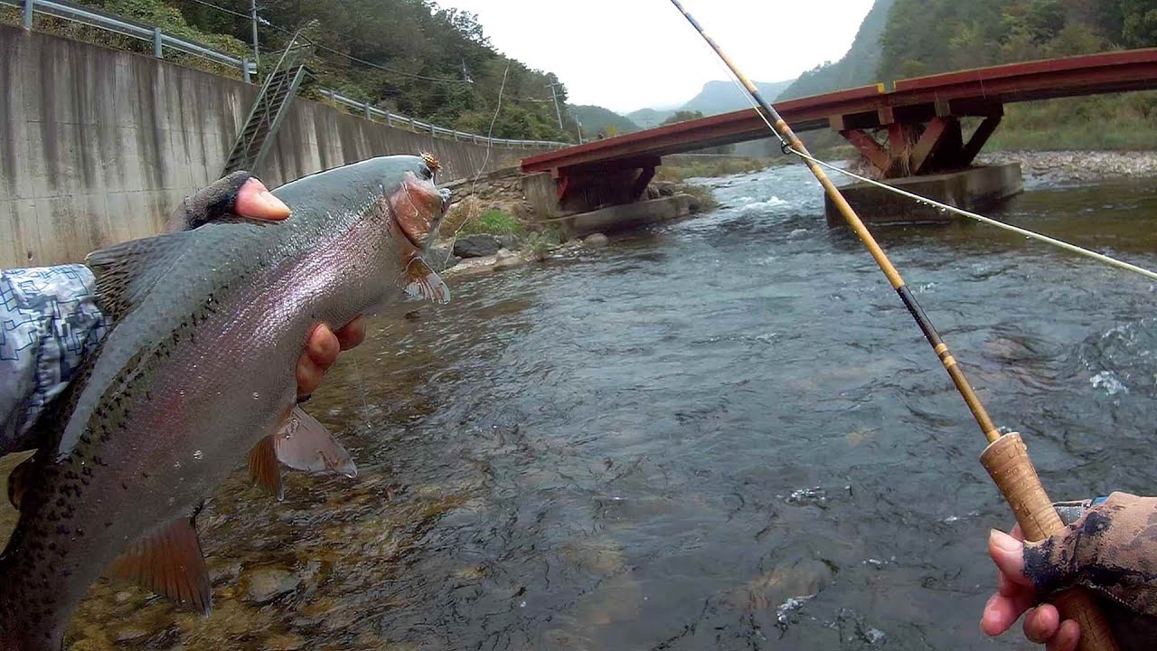 fly fishing Korea 21 10 9 즐거움을 주는 물고기들 에게 무한한 감사를... YouTube