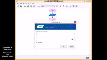 Algoritmalar ve Programlama dersi UzaktanEğitim Video 2/2
