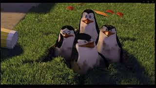 Madagascar | Best Penguins of Madagascar Scenes - Funny Action Moments | Kids Movies