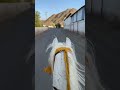 صوت حوافر الخيل طررررررب