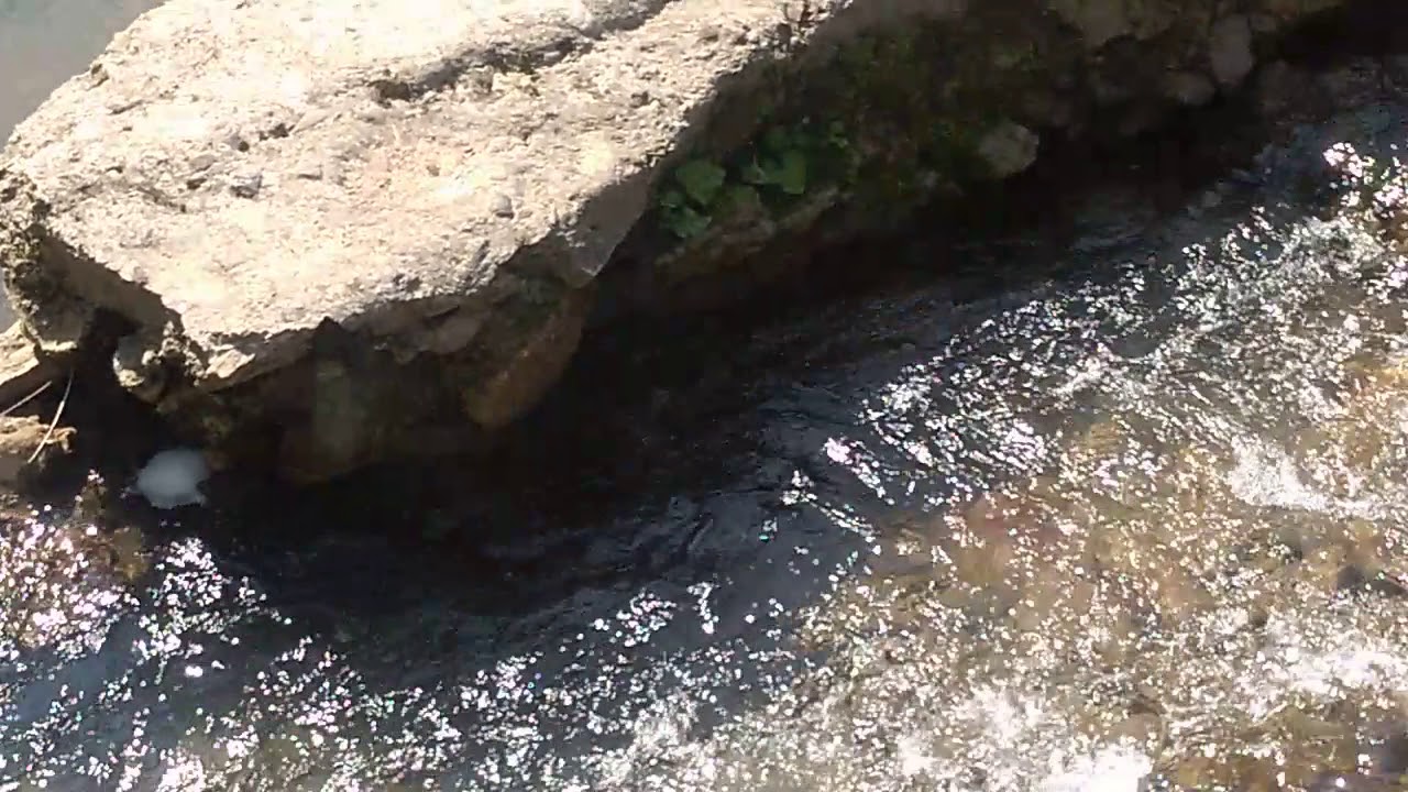 Izvorul Crișului Alb din satul Criș comuna Blajeni