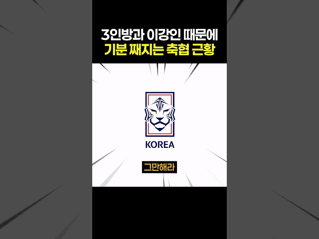 김민재 황인범 황희찬 이강인 때문에 기분 좋은 축구 협회