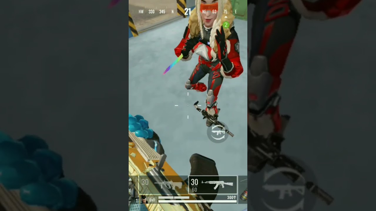 pinto armas y sale mal 