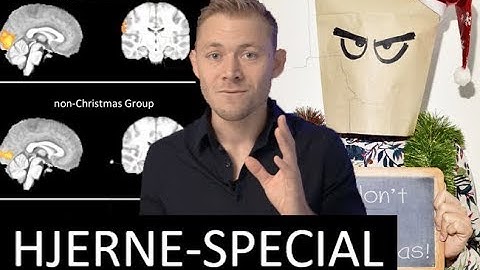 Hjerne-Special: Hvordan Er DIN Hjerne Indrettet?