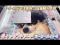 【ダイヤモンドアート　オーダーメイド4　チワワVIVIちゃん】オーダーメイドの注意点