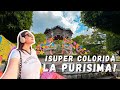 El jardín de LA PURÍSIMA se llena de color por DÍA DE MUERTOS. 🌿☠️🎉