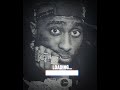 2Pac Trust Nobody 2024 2Pac Trust Nobody 2024