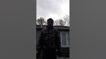 how high can you jump? #shortsfeed #shortvideo #shorts