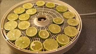 How to Dehydrate Limes