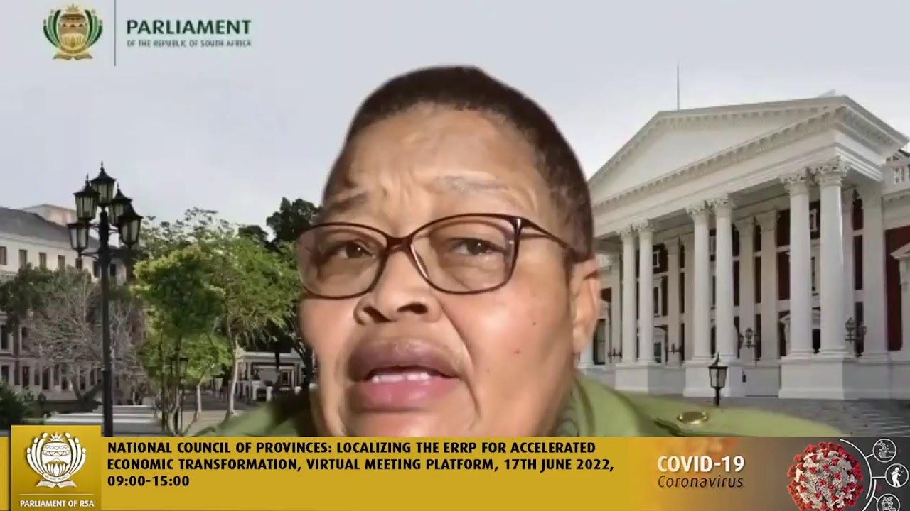 National Council of Provinces ERRP Oversight Conference, 17th June 2022
