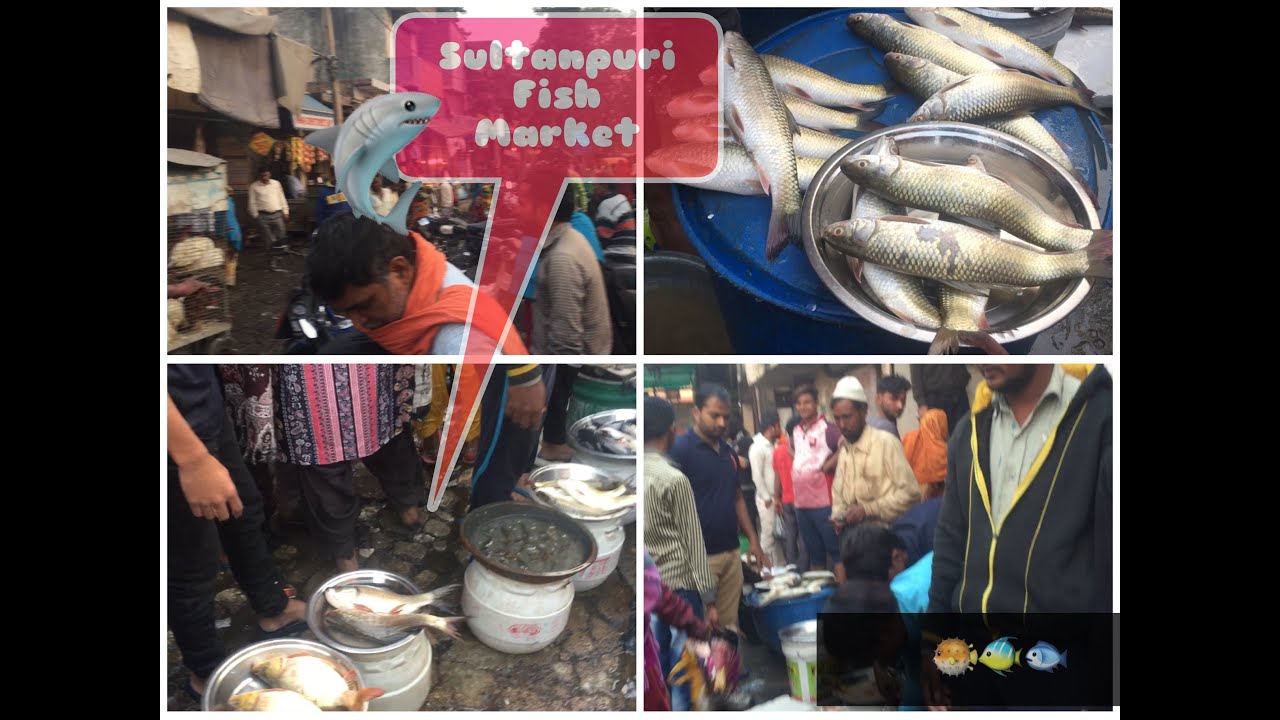Fish Market in Delhi SULTANPURI Fish Market YouTube