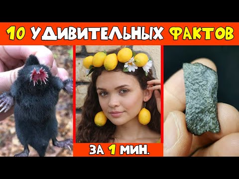 10 Крутых Фактов За Одну Минуту | Shorts