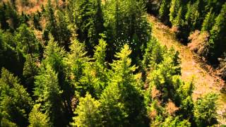 Celebrity The Twilight Saga: Breaking Dawn - Part 2 - Teaser Trailer Wealth