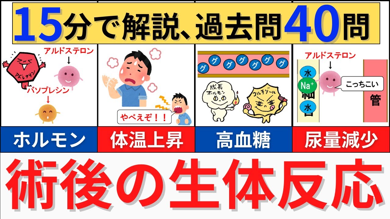 【15分で解説】術後の生体反応について解説