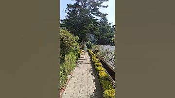 My Ooty Terrace Cottage Resorts On 8 April 2025 In Tamil Nadu 