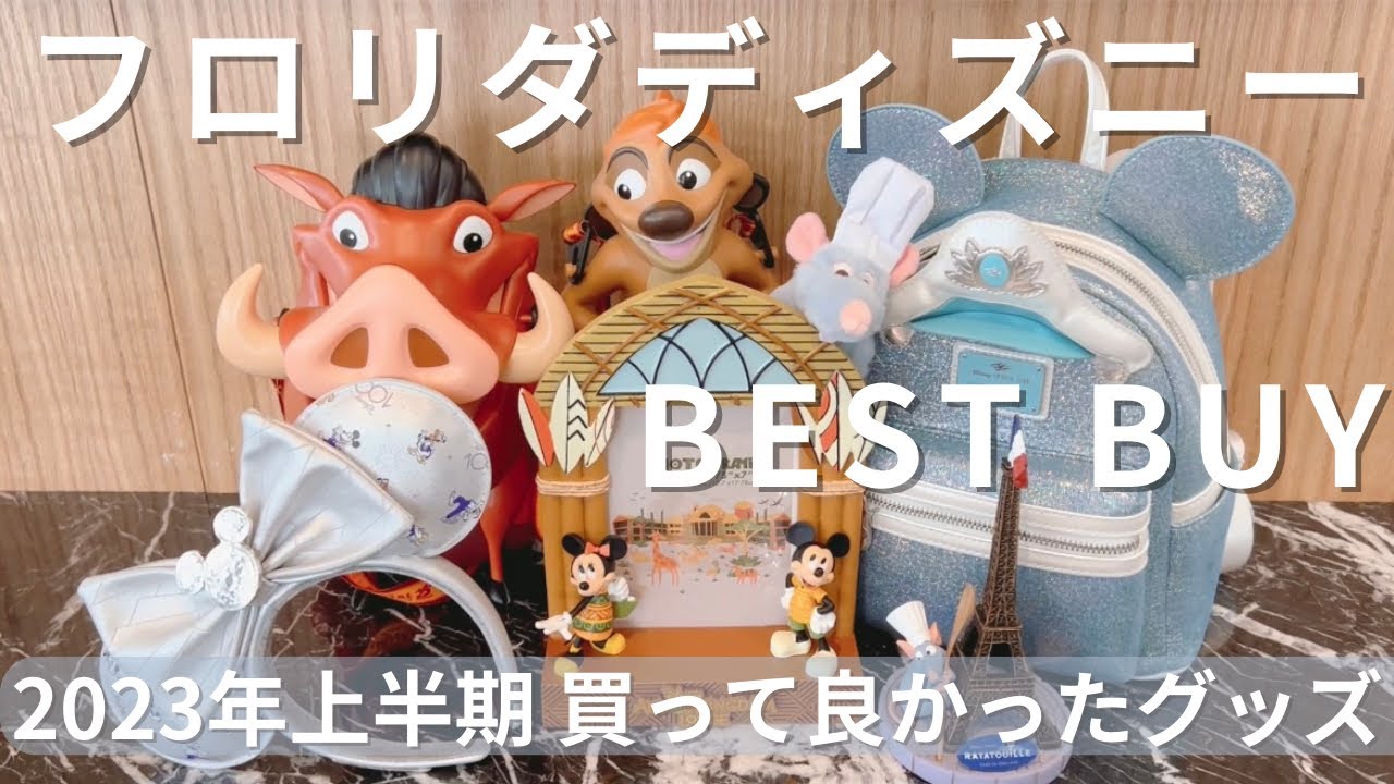 希少、レア物WDW.アメリカディズニーワールドタペストリー、ラグ WDWグッズ】フロリダディズニー🇺🇸2023年上半期BEST BUY/本当に買って