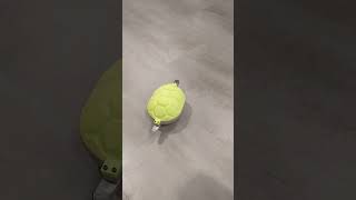 Turtlebot initial testing