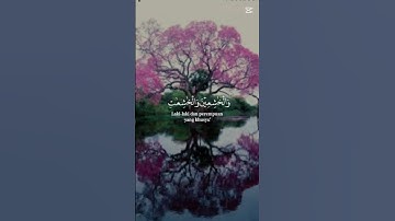 قف استمع للقران الكريم لمدة دقائق٥🦋🦋🦋